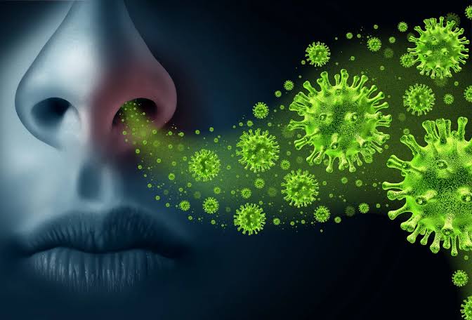 Puncak Panas Ekstrem & Flu ‘Super-K’ di Agustus 2026: 3 Langkah Lindungi Keluarga dari ‘Dua Musuh’ Kesehatan